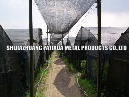 Extruded Plastic Mesh