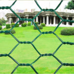 Hexagonal Wire Netting
