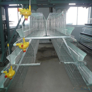 Chicken Cage