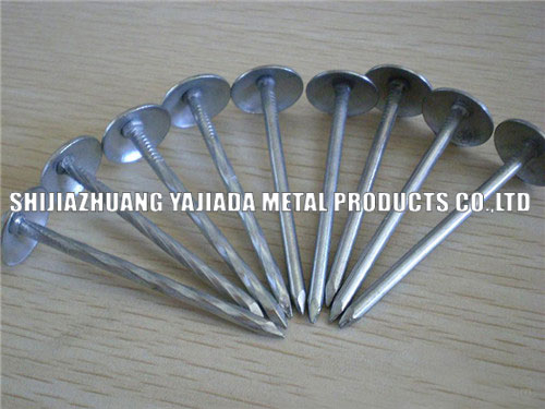 Umbrella Roofing Nails